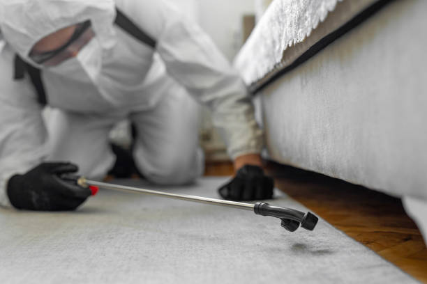 Professional Bed Bug Control technician working in Hayfield, MN
